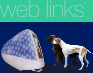 web_links.jpg