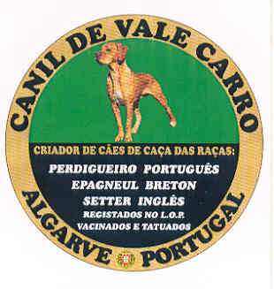 logotipo-c.v.carro.jpg